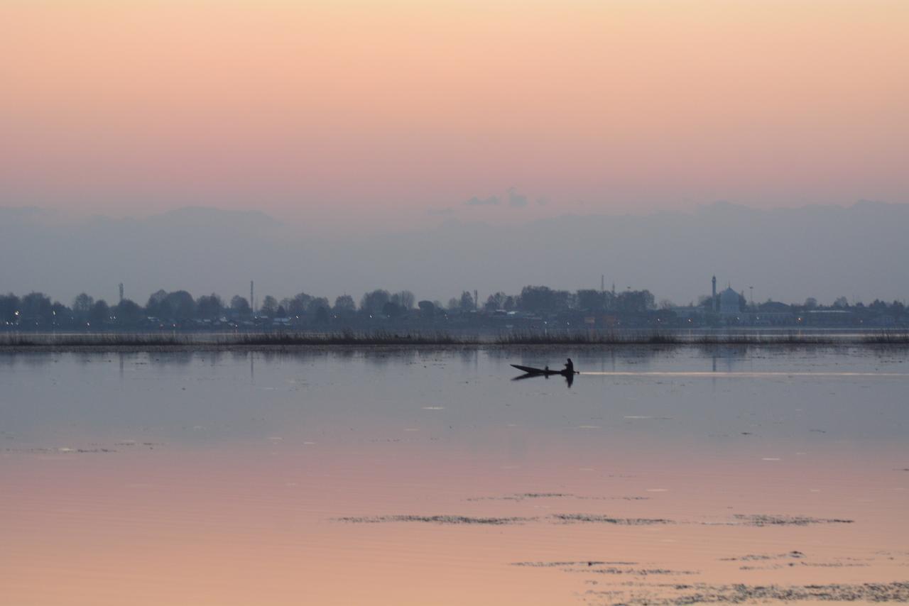 Lake Palace Group Of House Boats Srinagar  Bagian luar foto